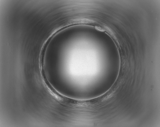 X0000071820843200606301251