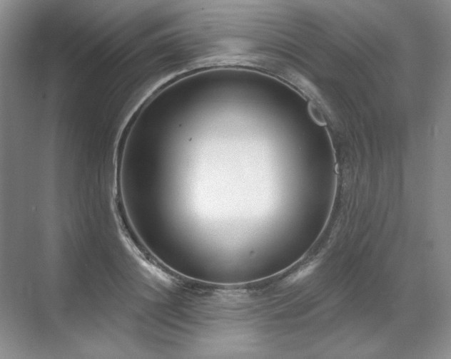 X0000071820844200606301251
