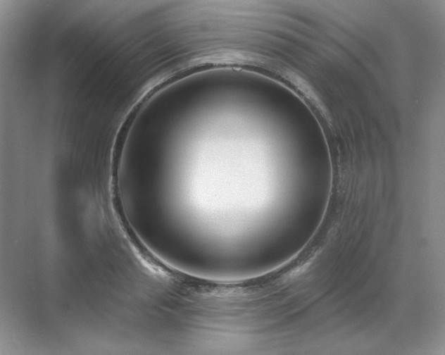 X0000071820845200606301251