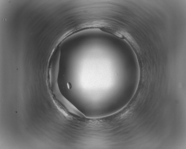 X0000071820850200606301251
