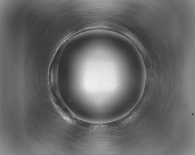 X0000071820858200606301251