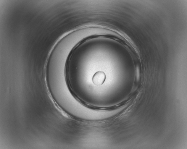 X0000071820862200606301251