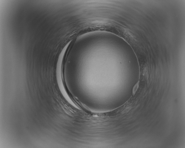 X0000071820868200606301250