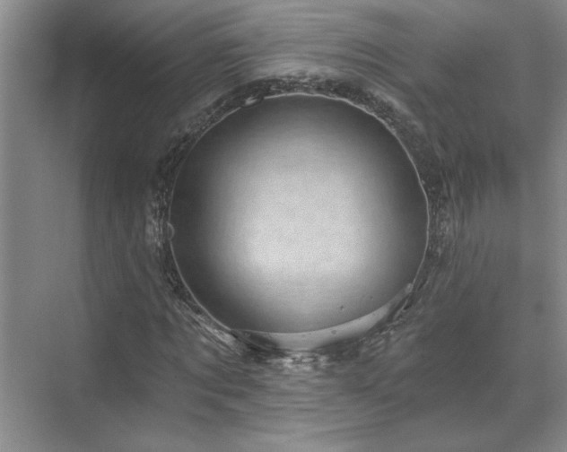 X0000071820869200606301250
