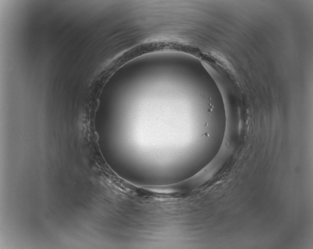 X0000071820872200606301250