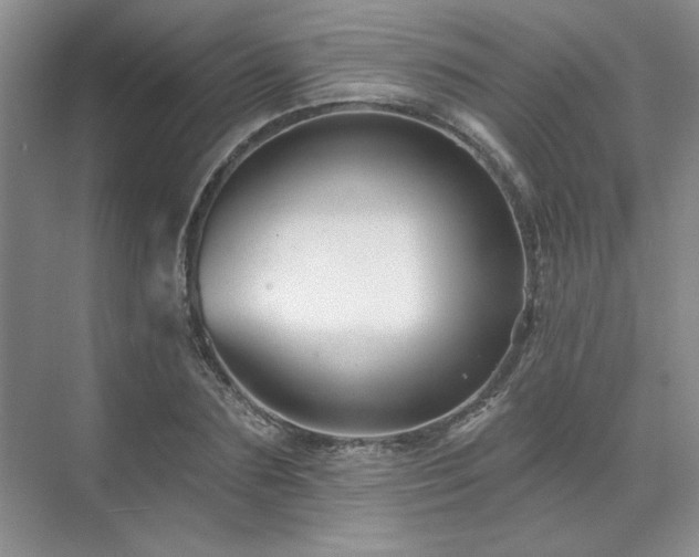 X0000071820883200606301250