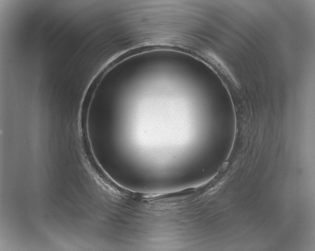 X0000071820884200606301250