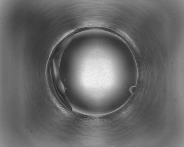 X0000071820885200606301250