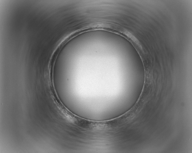 X0000071820886200606301250