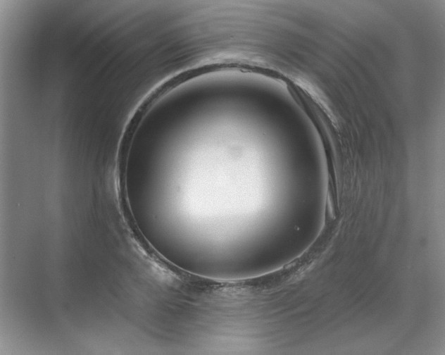 X0000071820888200606301250