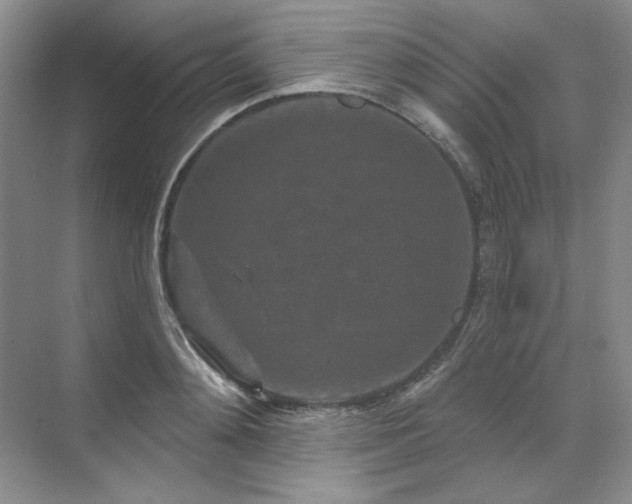 X0000071820892200606301250