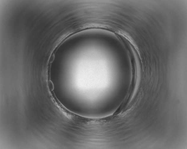 X0000071820898200606301250