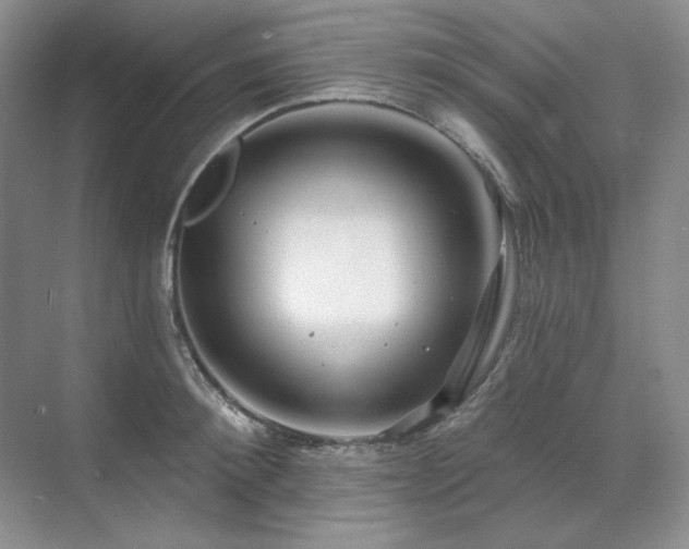X0000071820900200606301250