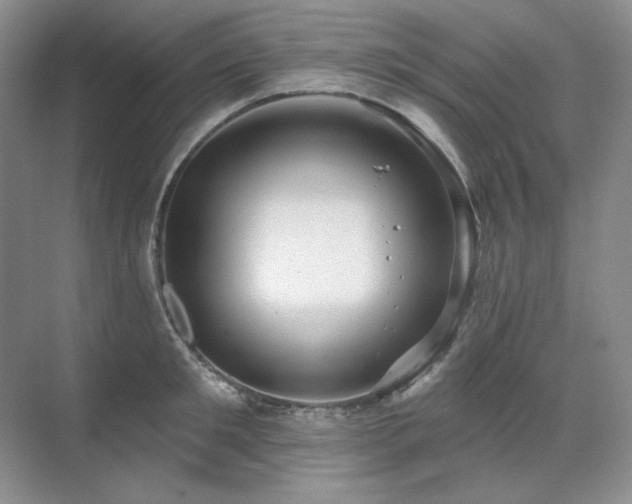 X0000071820901200606301250
