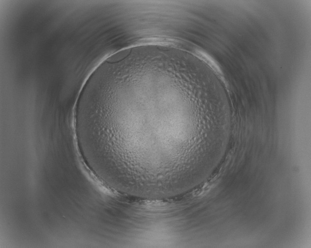 X0000071820907200606301249