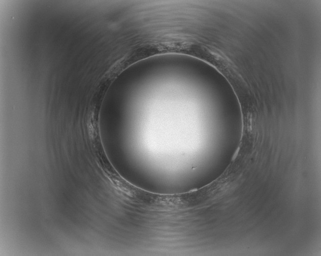 X0000071820915200606301249