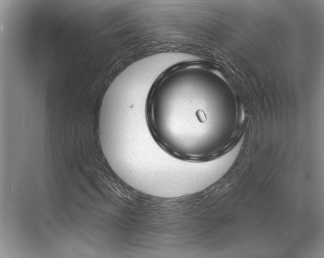 X0000071820916200606301249
