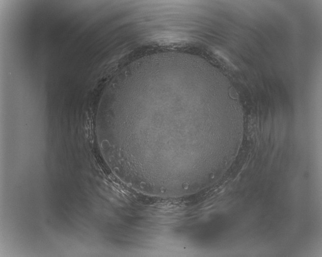 X0000071820917200606301249