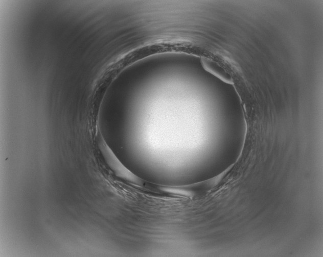 X0000071820920200606301249