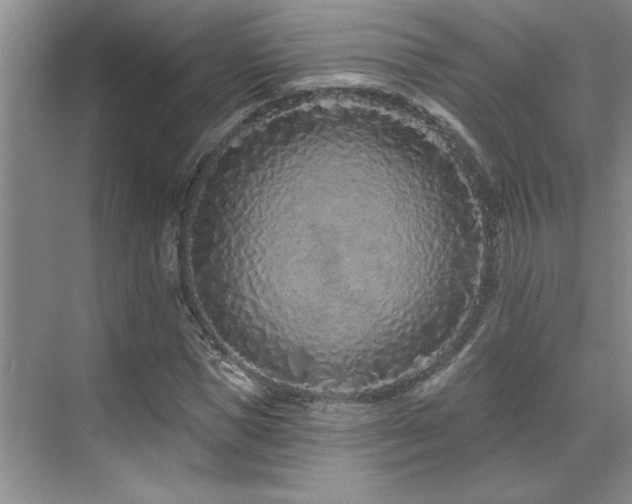 X0000071820921200606301249