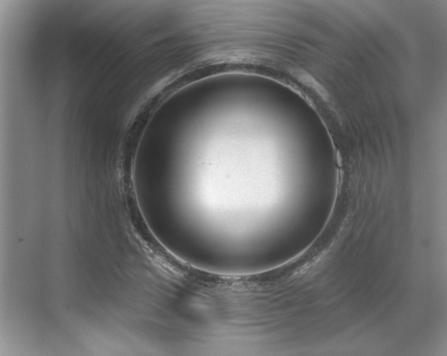 X0000071820922200606301249