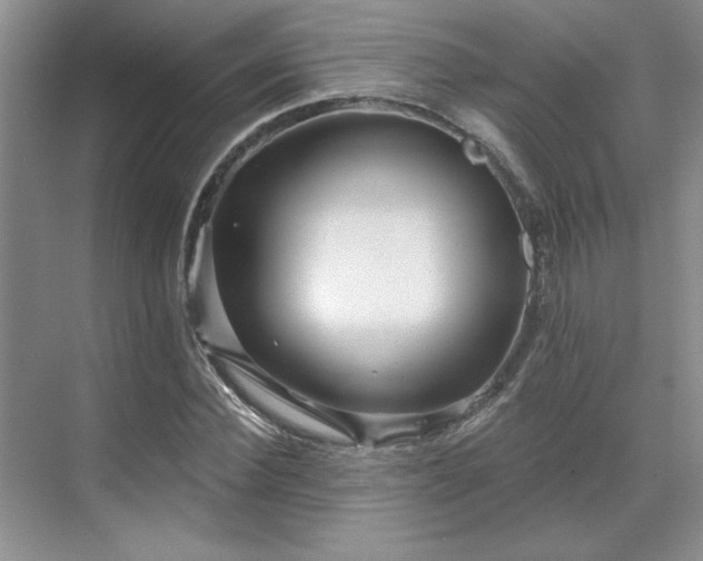 X0000071820924200606301249