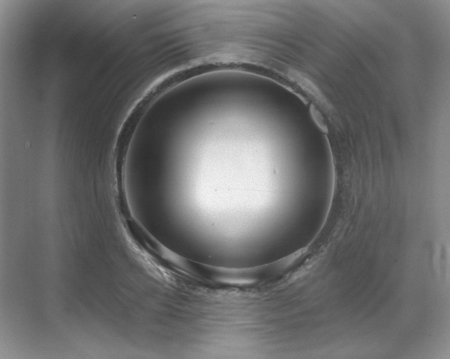 X0000071820934200606301249