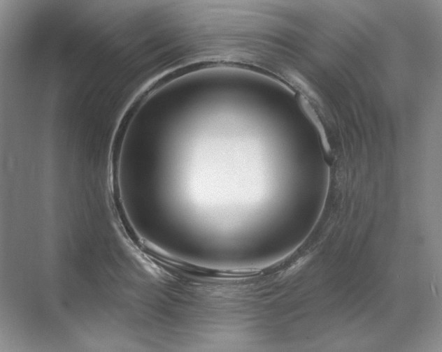 X0000071820940200606301249