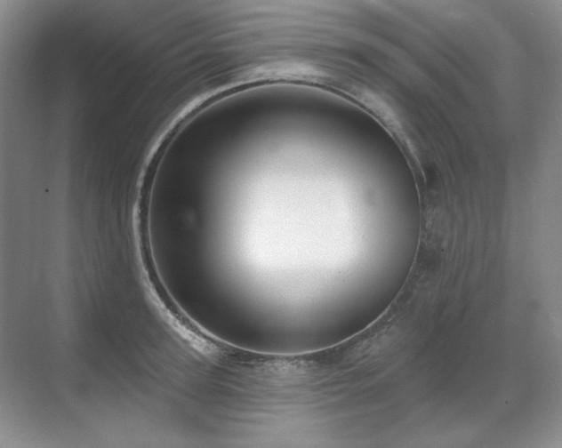 X0000071820947200606301249