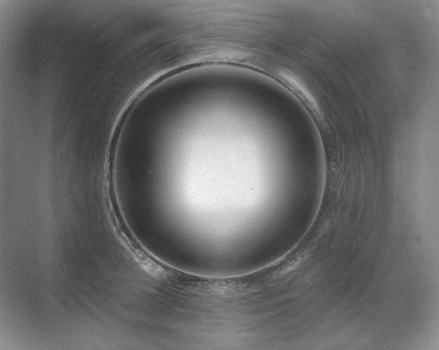 X0000071820948200606301249