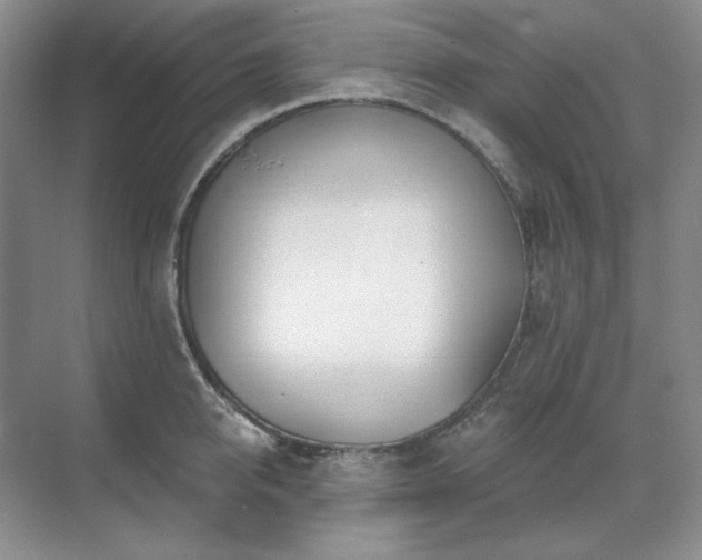 X0000071820950200606301249