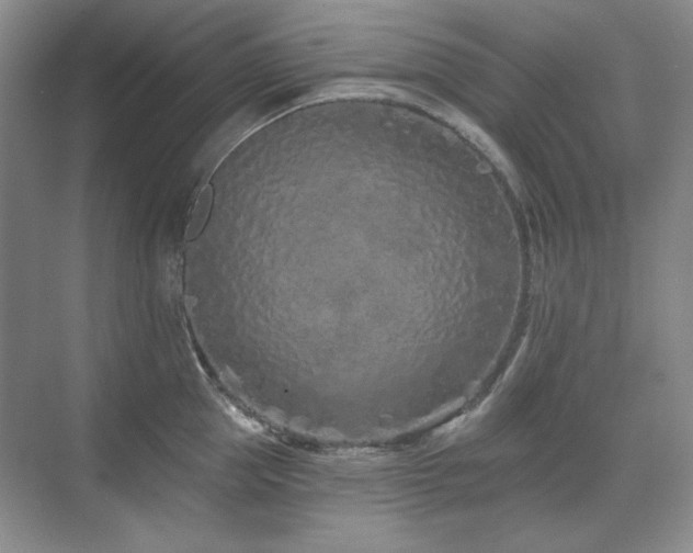X0000071820953200606301249