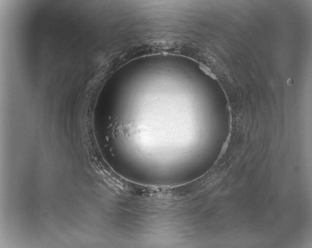 X0000071820961200606301249