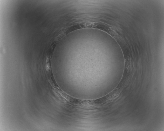 X0000071820962200606301248