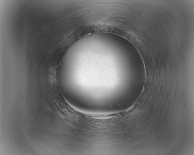 X0000071820964200606301248