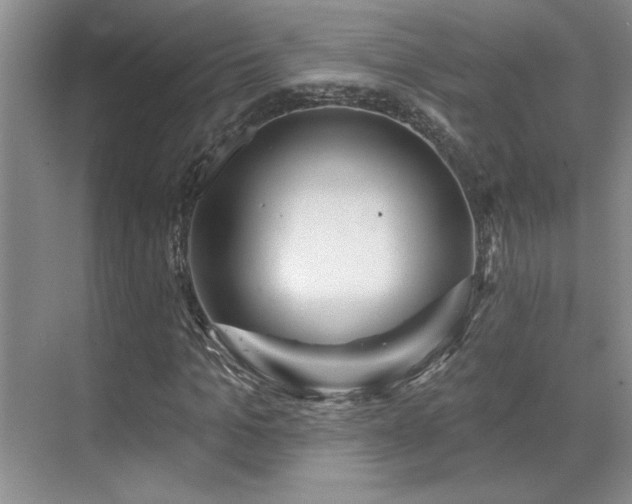 X0000071820965200606301248
