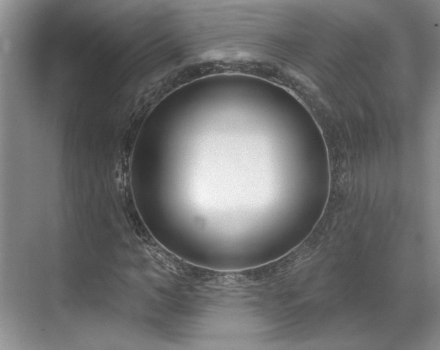 X0000071820966200606301248