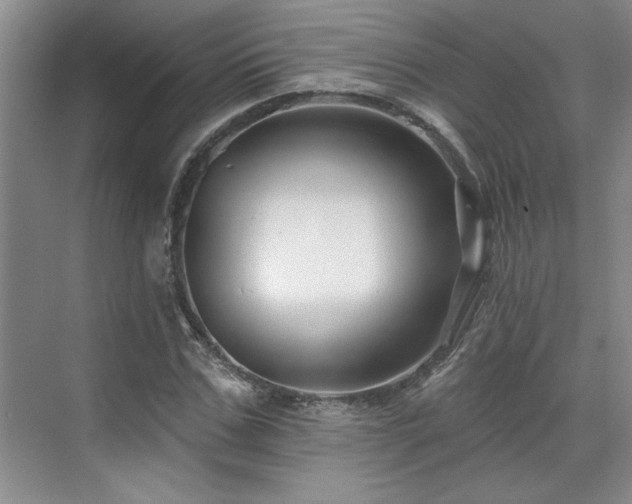 X0000071820971200606301248