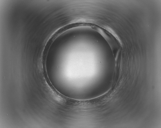 X0000071820972200606301248