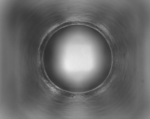 X0000071820974200606301248