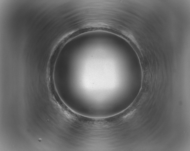 X0000071820979200606301248