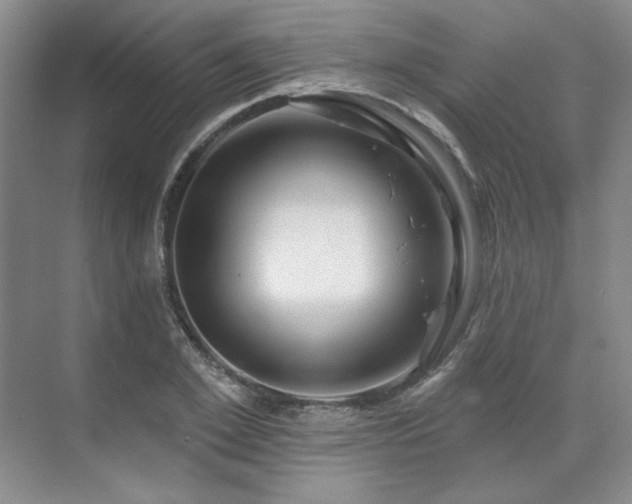 X0000071820981200606301248