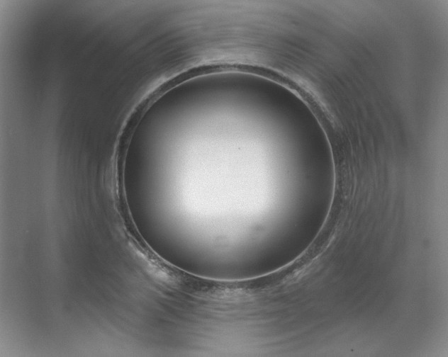 X0000071820982200606301248