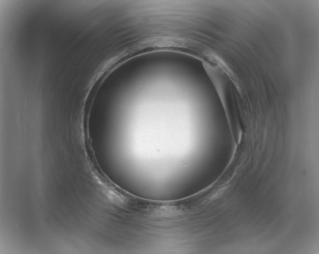X0000071820986200606301248
