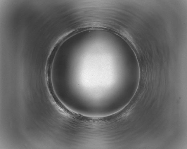 X0000071820987200606301248