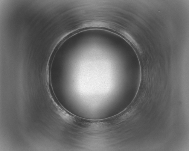 X0000071820988200606301248