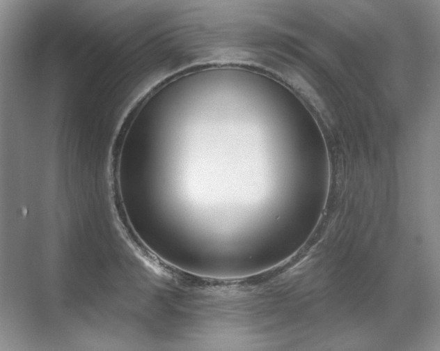 X0000071820990200606301248