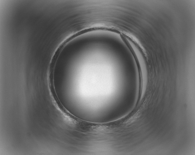 X0000071820991200606301248