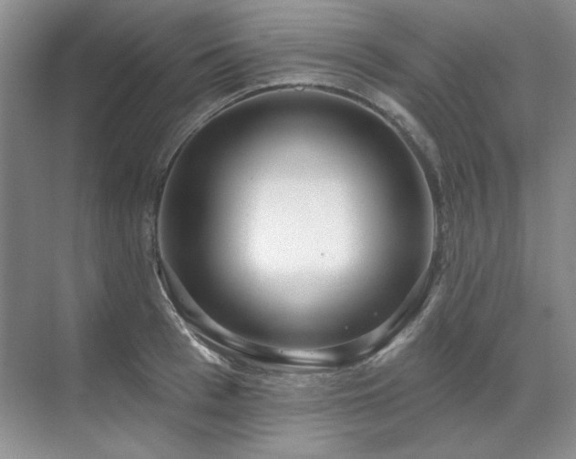 X0000071820993200606301248