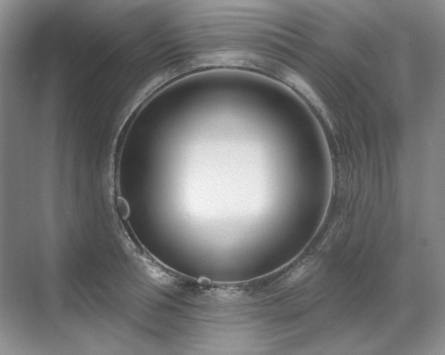 X0000071820994200606301248